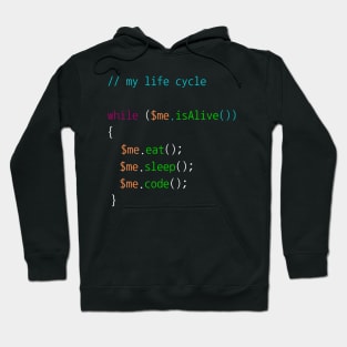 Coder life cycle Hoodie